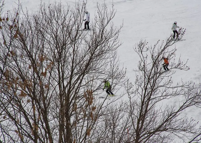 Apartment La Casa Delle Marmotte *